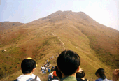 04.jpg